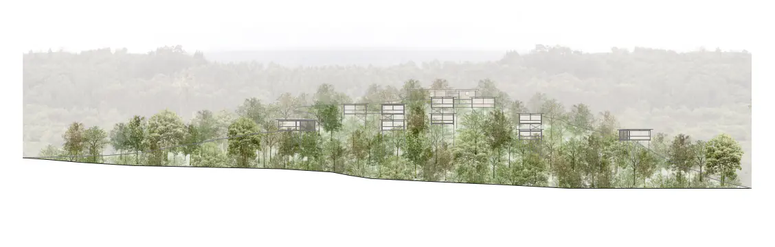 Sección general del bosque y la disposición de las estructuras integradas, por estudio de arquitectura SEA.